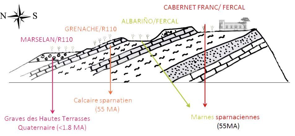 Dia afbeelding