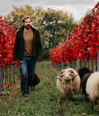 Johannes Trapl - Karpatenschiefer Biodynamie / Natuurwijn