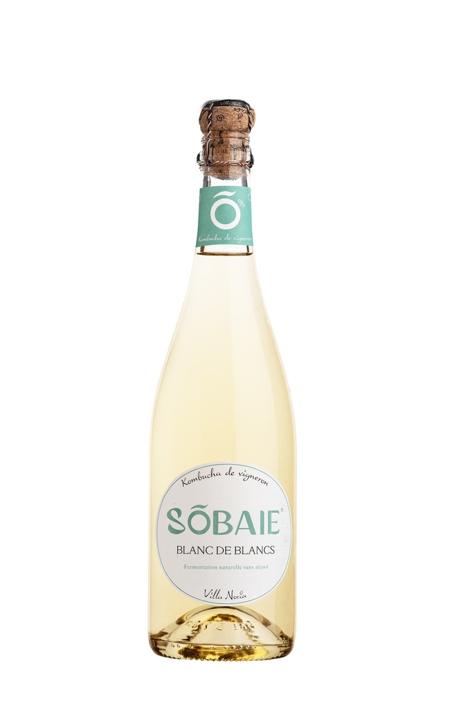 Villa Noria - Sobaie Blanc De Blancs Kombucha De Vignerons 0% Bio