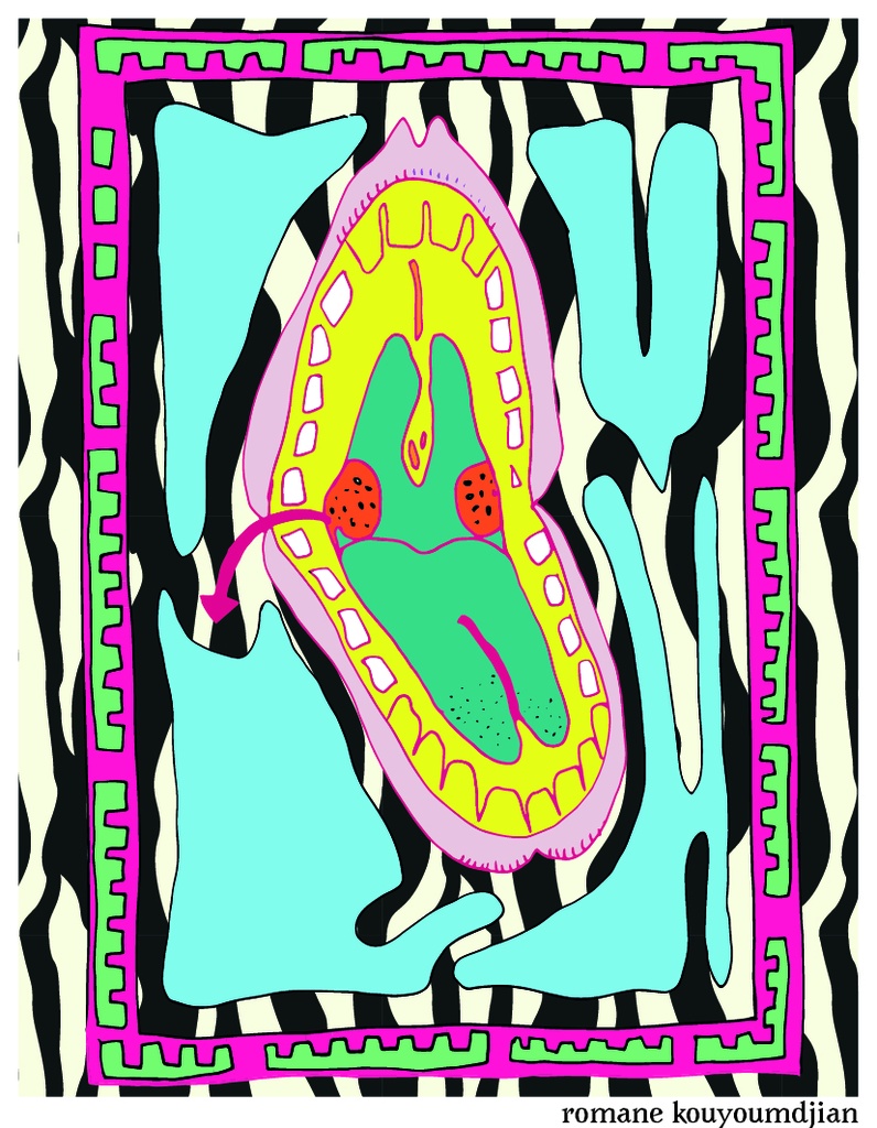 [RODLAN-FDAC] François Ducrot - Ladybird Cinsault  Bio / Natuurwijn